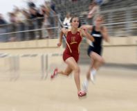 Hurdler I.jpg